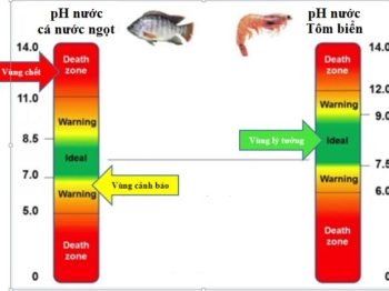 KIỂM SOÁT CHẤT LƯỢNG NGUỒN NƯỚC TRONG NUÔI TRỒNG THỦY SẢN